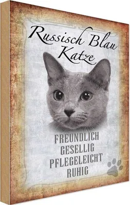 Produktbild von vianmo Holzschild 18x12 cm russisch blau Katze Tier Haustier