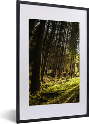 Produktbild von MuchoWow® Gerahmtes Poster Baum - Natur - Sonne - Wald 40x60 cm - Poster mit Schwarzem Bilderrahmen Wandposter Rahmen Foto Bilder - Poster in Rahmen