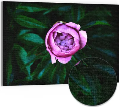 Produktbild von DEQORI Hybrid Leinwand Bild 90x60 cm 'Rosa Blütenzauber' Wandbild Glas flach modern