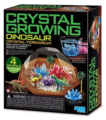 Image de 4M DIY set Dino crystal terrarium