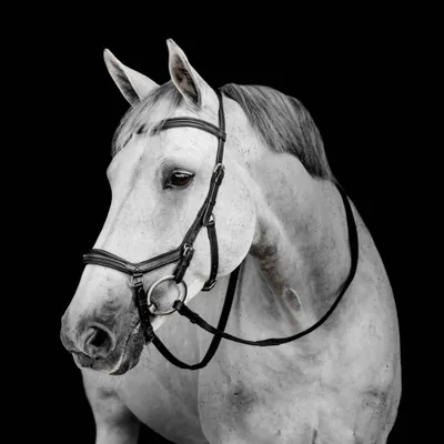 Produktbild von Horseware Micklem Deluxe Competition