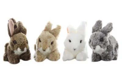 Four plush toy rabbits of different colors are arranged in a row against a white background.