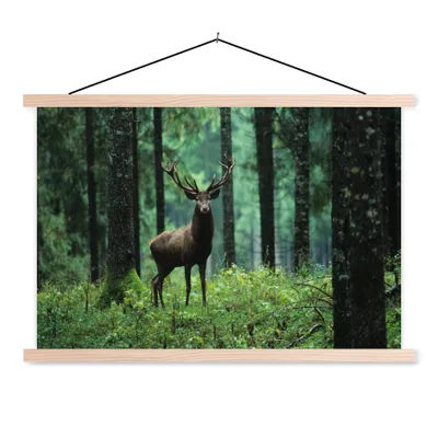 Produktbild von MuchoWow® Textilposter Hirsche - Wald - Bäume - Tiere - Natur 60x40 cm mit holzfarbenen Rahmen - Bilder