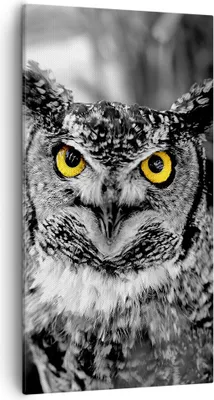Produktbild von Bild auf Leinwand - Leinwandbild - Eule Vogel Natur - 55x100cm - Wand Bild - Wanddeko - Wandbilder - Leinwanddruck - Bilder - Kunstdruck - Wanddekoration - Leinwand bilder - Wandkunst - PA55x100-1318