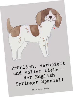 Produktbild von Mr. & Mrs. Panda Postkarte English Springer Spaniel Freude - Grau Pastell - Geschenk, Ansichtskarte, Lebensfreude, Hunderassen, Ansichtskarten, verspielter Hund, Hunde