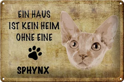 Produktbild von Blechschild Spruch 30x20cm Sphynx Katze ohne kein Heim