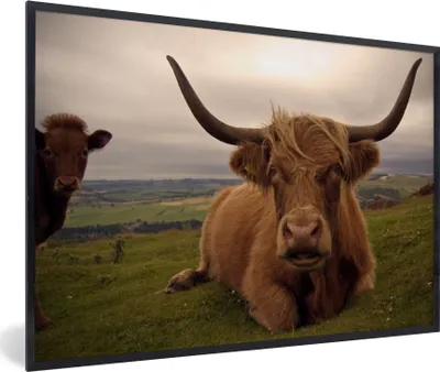 Produktbild von MuchoWow® MuchoWow® Gerahmtes Poster Schottisches Hochlandrind - Tiere - Berg 90x60 cm - Poster mit zchwarzem Bilderrahmen - Fotorahmen - Foto-Plakat