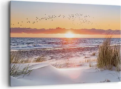 Produktbild von Bild auf Leinwand - Leinwandbild - Einteilig - Sonne Strand Vögel - 100x70cm - Wand Bild - Wanddeko - Wandbilder - Leinwanddruck - Bilder - Wanddekoration - Leinwand bilder - Wandbild - AA100x70-4727