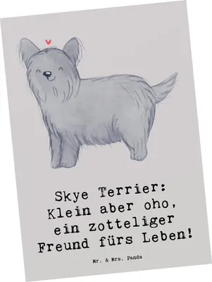 Produktbild von Mr. & Mrs. Panda Postkarte Skye Terrier Freund - Grau Pastell - Geschenk, Ansichtskarten, Hunderassen Pflege, Postkarten, Charakter, Hunderasse, langer Hund, Fotokarte