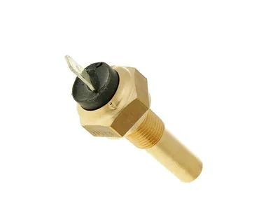 Zdjęcie produktu dla Temperatursensor Minarelli Motor