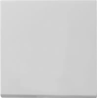Produktbild von Gira Wippe 0296015