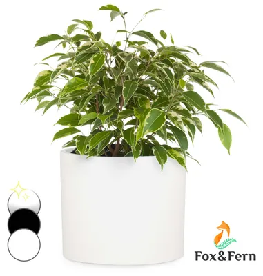 Obrázek produktu pro Fox & Fern Gendt, květináč, fiberstone, interiér/exteriér