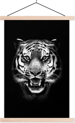 Produktbild von MuchoWow® Textilposter Tigerkopf vor schwarzem Hintergrund - schwarz und weiß 120x180 cm mit holzfarbenen Rahmen - Textil-Plakat