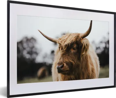 Produktbild von MuchoWow® Gerahmtes Poster Schottischer Highlander - Tiere - Hörner 60x40 cm - Poster mit Schwarzem Bilderrahmen Wandposter Rahmen Foto Bilder - Schlafzimmer - Plakat in Rahmen - Drucken