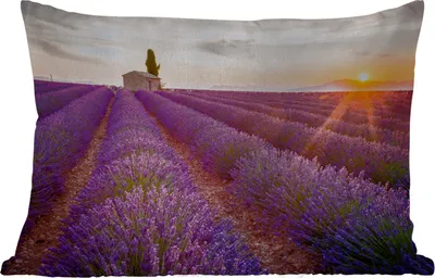 Produktbild von MuchoWow® Outdoor Kissen - Lavendel - Sonnenuntergang - Blumen - Lila - 50x30 cm - Wetterfest - Lounge Kissen - Sofa kissen - Wohnzimmer Dekoration