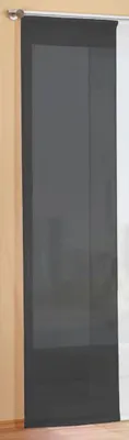 Produktbild von Preisgünstiger Flächenvorhang Schiebegardine, transparent, unifarben, mit Zubehör, 245x60, Schwarz, 85589