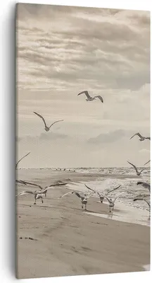 Produktbild von Bild auf Leinwand - Leinwandbild - Einteilig - Möwen Küste Boho - 55x100cm - Wand Bild - Wanddeko - Wandbilder - Leinwanddruck - Bilder - Wanddekoration - Leinwand bilder - Wandbild - PA55x100-4723