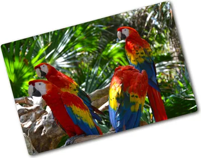 Produktbild von Tulup Glas Herdabdeckplatte - 80x52 cm - Glaskeramikkochfeld-Abdeckung Spritzschutz Glasabdeckplatte - Einteilig - Tiere - Aras Papageien - Mehrfarbig