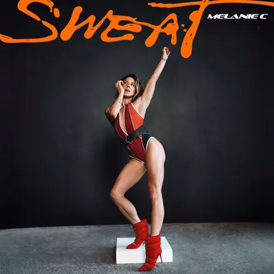 Produktbild von Sweat