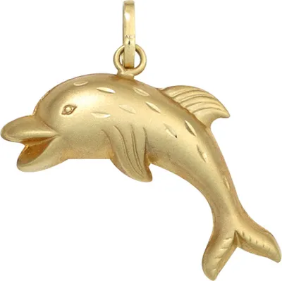 Produktbild von JOBO Kinder Anhänger Delfin 333 Gold Gelbgold teilmattiert