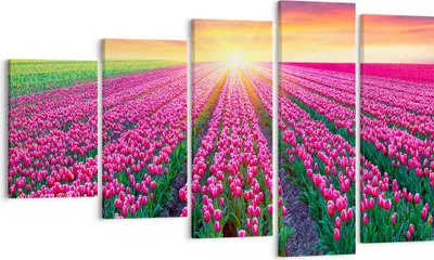 Produktbild von Bild auf Leinwand - Leinwandbild - Wiese Tulpen Sonnenuntergang Frühling - 100x60cm - Wand Bild - Wanddeko - Leinwanddruck - Bilder - Kunstdruck - Leinwand bilder - Wandkunst - EG100x60-2841