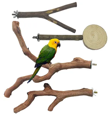 Image de 4 perches en bois naturel pour oiseaux, jouets à suspendre pour perroquets et autres oiseaux
