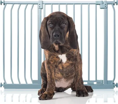 Produktbild von Bettacare Elite Hundegitter, 98cm - 107cm, Grau