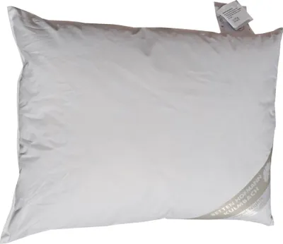 Produktbild von Betten Hofmann Kleinkissen 40x50 Kuschelkissen Dekokissen Nackenkissen 300g