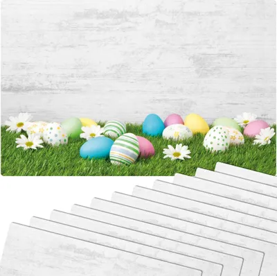 Produktbild von Abwaschbare Tischsets 12er Set Ostern Gänseblümchen Blumen