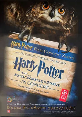 Zdjęcie produktu dla Harry Potter – Kamień Filozoficzny – PLAKAT – 60 x 80 cm