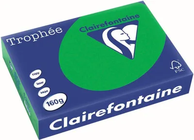 Produktbild von Clairefontaine Multifunktionspapier Trophée A4 billardgrün 160 g/qm 250 Blatt