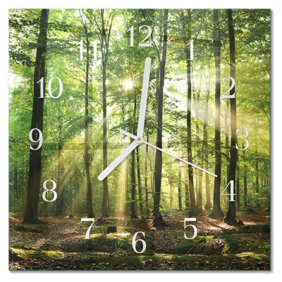 Produktbild von Tulup Glasuhr Wanduhr Küchenuhr Echt-Glas 30x30 cm Modern Dekorativ Geräuschlos Weiße Zeiger - Waldnatur