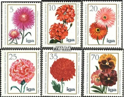 Produktbild von Briefmarken DDR 1975 Mi 2070-2075 (kompl.Ausgabe) postfrisch Blumenzüchtungen