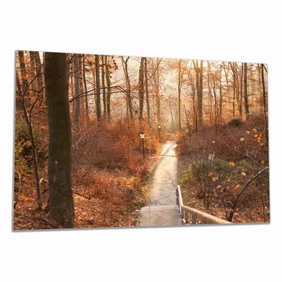 Produktbild von Wallario Herdabdeckplatte aus Glas, Größe 80 x 52 cm 2-teilig, Motiv Weg in den Sonnenuntergang