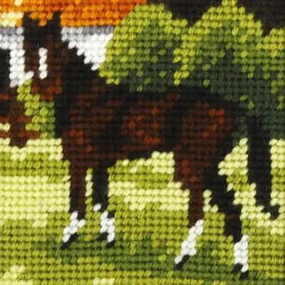 Immagine prodotto di Set da ricamo Il mio primo cavallo da ricamo