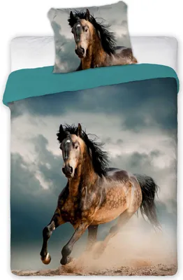 A duvet cover and pillowcase set featuring a horse in motion against a stormy sky.