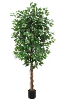 Zdjęcie produktu dla Künstlicher Ficus Kunstbaum