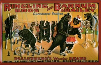 Produktbild von Blechschild Nostalgieschild Ringling Brothers Zirkus Bären