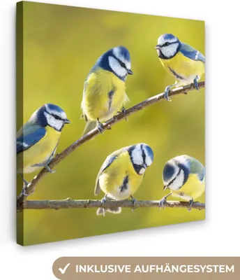 Produktbild von MuchoWow® - Leinwandbilder - Vogel - Blaumeise - Äste - Sonne, Wandbild, Wanddeko Bilder Wohnzimmer, 90x90 cm