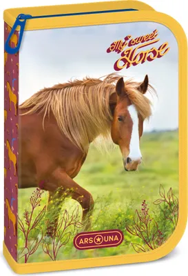Immagine prodotto di Astuccio per la scuola Ars Una My Sweet Horse - cavallo, ripieno, marrone-giallo-verde, per bambine