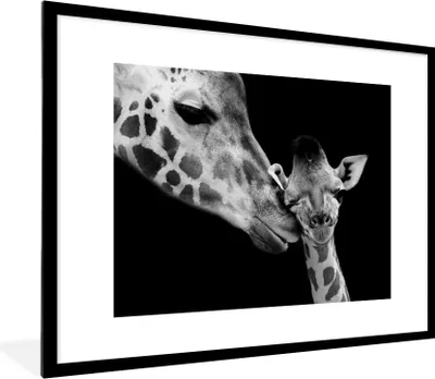 Produktbild von MuchoWow® Gerahmtes Poster Tiere - Schwarz - Weiß - Giraffe - Porträt 80x60 cm - Poster mit Schwarzem Bilderrahmen Wandposter Rahmen Foto Bilder - Schlafzimmer-Dekorationen - Fotoposter
