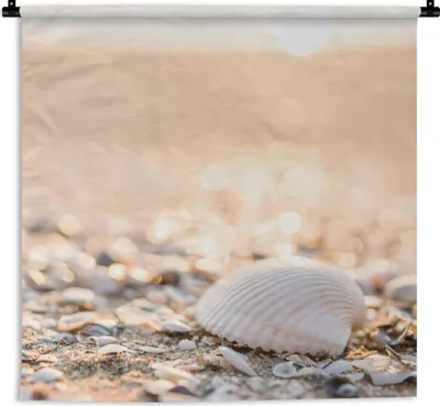 Produktbild von MuchoWow® Wandteppich Wandbehang Muscheln - Weiß - Strand - Sommer 90x90 cm Tapisserie Dekoration Wandtuch - Wandaufhänger
