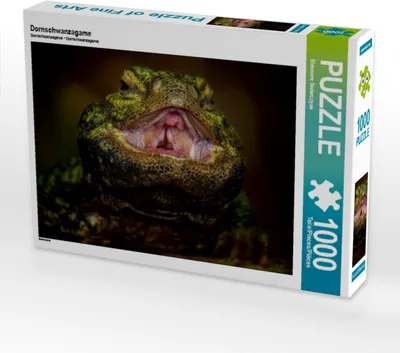 Produktbild von Calvendo Dornschwanzagame 1000 Teile Puzzle quer 640x480mm, Swierczyna Eleonore; 7436447