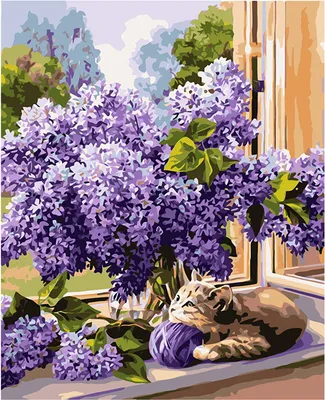 Image de Peinture par numéros « Sans » 40 x 50 cm
