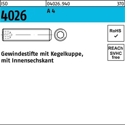 Produktbild von Reyher  Gewindestifte ISO 4026 A 4 M 12 x 55 A 4 (25 Stück)
