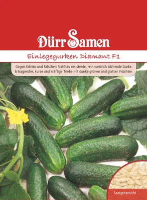 Produktbild von Dürr-Samen - Einlegegurken Diamant F1 - Saatgut - 1029