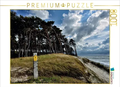 Produktbild von CALVENDO Puzzle Der Wald mit seinen charakteristischen Bäumen reicht bis hinunter an den Strand | 1000 Teile Lege-Größe 64x48cm Foto-Puzzle für glückliche Stunden