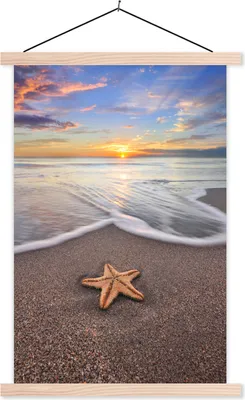 Produktbild von MuchoWow® Textilposter Seestern - Meer - Sonne 120x180 cm mit holzfarbenen Rahmen - Textil-Plakat