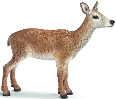 Produktbild von Schleich Rothirschkuh Wild Life, Braun, Beide Geschlechter, 9 cm, 2,5 cm, 8 cm, 1 Stück
