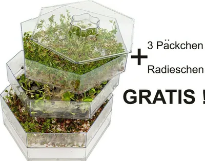 A stack of clear hexagonal trays filled with sprouts, with text indicating a free offer.
